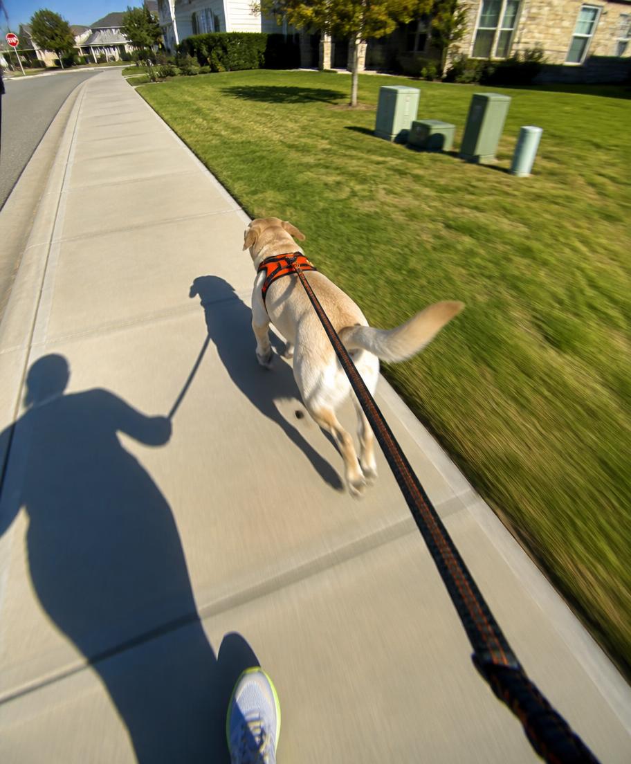 Runner and dog in an orange collar running across a grass field